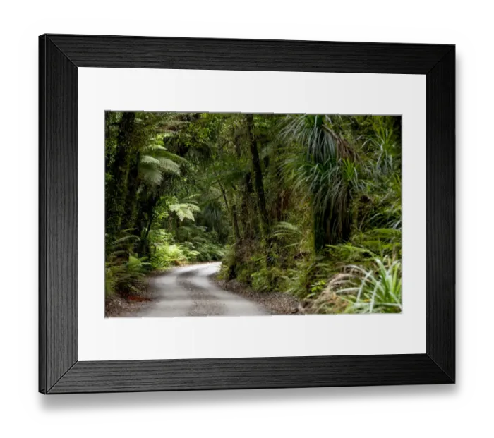 Framed Print : Forest trail in the middle of a New Zealand jungle, Ruatapu, West Coast Region, New Zealand Framed Print : Forest trail in the middle of a New Zealand jungle, Ruatapu, West Coast Region, New Zealand