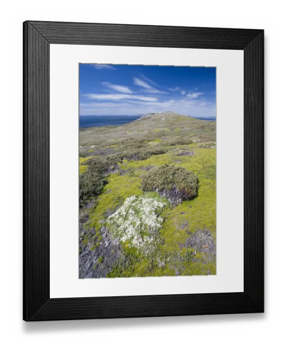 Framed Print : View of Westpoint Island, Westpoint Island, Falkland Islands, United Kingdom Framed Print : View of Westpoint Island, Westpoint Island, Falkland Islands, United Kingdom