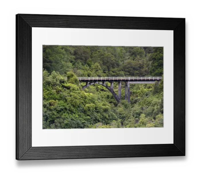 Framed Print : Railway bridge in the jungle, Charleston, West Coast Region, New Zealand Framed Print : Railway bridge in the jungle, Charleston, West Coast Region, New Zealand