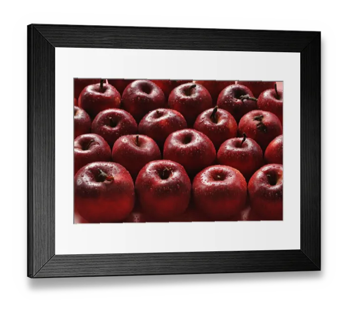 Framed Print : Organic apples, Purple Cousinot, Eckenhaid, Ecktental, Middle Franconia, Bavaria, Germany
