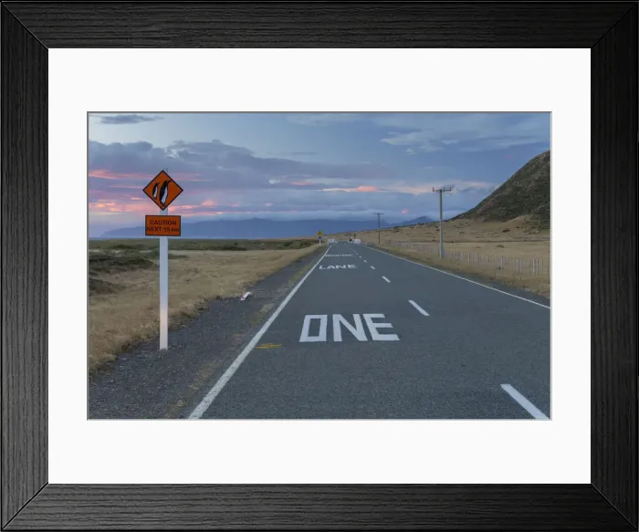 Framed Print : Warning sign Caution Penguins on a coastal road at dusk, Cape Palliser, Wellington Region, New Zealand Framed Print : Warning sign Caution Penguins on a coastal road at dusk, Cape Palliser, Wellington Region, New Zealand