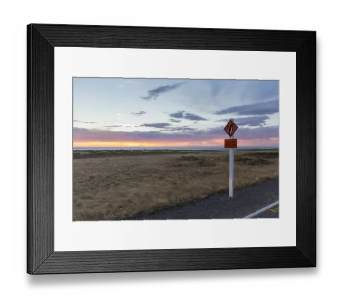 Framed Print : Warning sign Caution Penguins on a coastal road at dusk, Cape Palliser, Wellington Region, New Zealand Framed Print : Warning sign Caution Penguins on a coastal road at dusk, Cape Palliser, Wellington Region, New Zealand