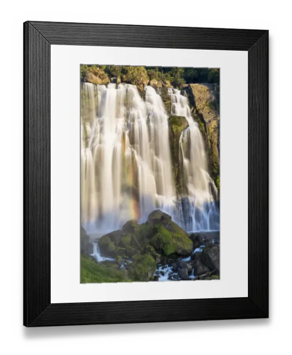 Framed Print : Marokopa Falls in the evening light with a rainbow, Te Anga, Waikato Region, New Zealand Framed Print : Marokopa Falls in the evening light with a rainbow, Te Anga, Waikato Region, New Zealand