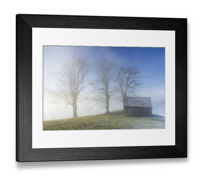 Framed Print : Group of trees and a hut with high fog, Trogen, Appenzell, Switzerland Framed Print : Group of trees and a hut with high fog, Trogen, Appenzell, Switzerland