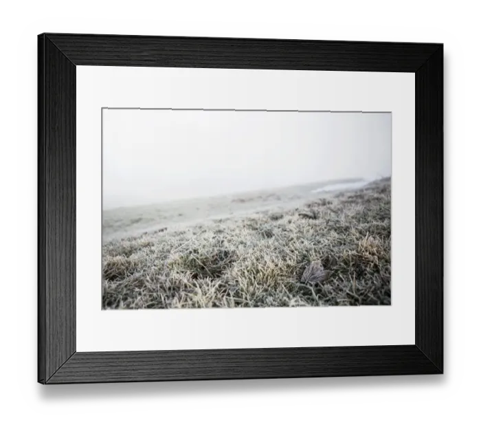 Framed Print : Hoarfrost on a meadow, Trogen, Appenzell, Switzerland Framed Print : Hoarfrost on a meadow, Trogen, Appenzell, Switzerland
