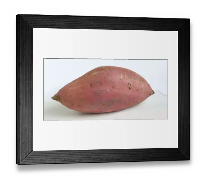Framed Print : Sweet potato Framed Print : Sweet potato