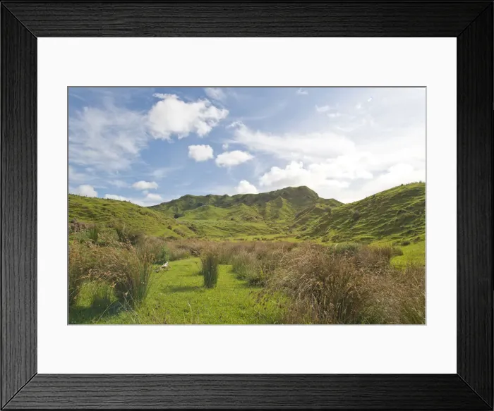 Framed Print : Landscape with green hills and rushes, Coromandel, Coromandel Peninsula, North Island, New Zealand Framed Print : Landscape with green hills and rushes, Coromandel, Coromandel Peninsula, North Island, New Zealand