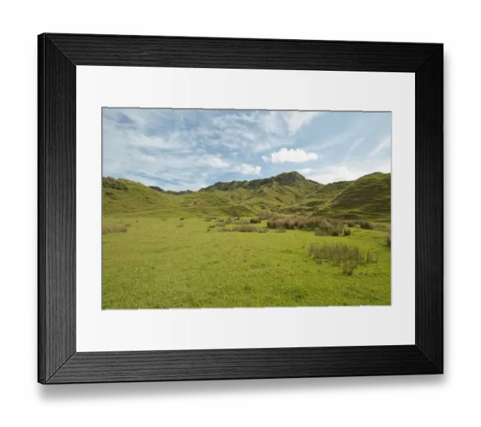Framed Print : Landscape with green hills, Coromandel, Coromandel Peninsula, North Island, New Zealand Framed Print : Landscape with green hills, Coromandel, Coromandel Peninsula, North Island, New Zealand