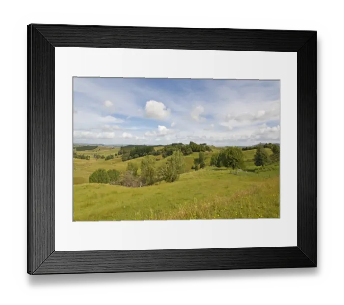 Framed Print : Landscape with hilly meadows, Coromandel, Coromandel Peninsula, North Island, New Zealand Framed Print : Landscape with hilly meadows, Coromandel, Coromandel Peninsula, North Island, New Zealand