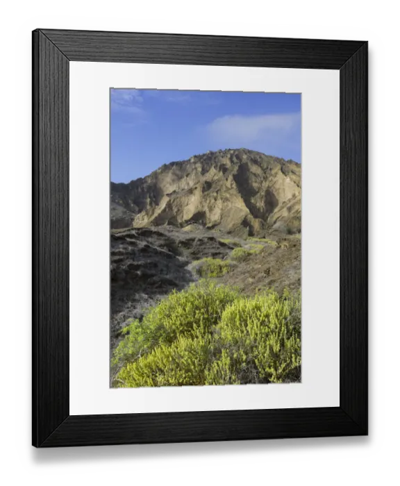 Framed Print : Vegetation at Punta Pitt, San Cristobal Island, Galapagos Islands, Ecuador Framed Print : Vegetation at Punta Pitt, San Cristobal Island, Galapagos Islands, Ecuador