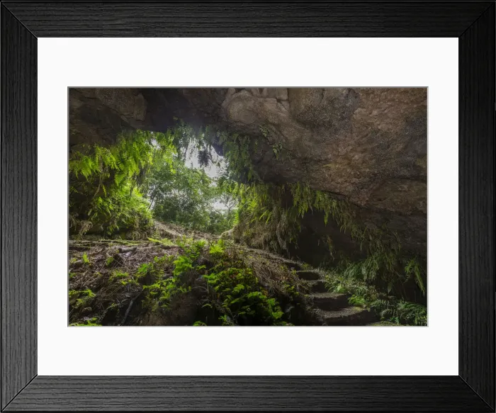 Framed Print : Exit of a lava tube, Isabela Island, Galapagos Islands, Ecuador Framed Print : Exit of a lava tube, Isabela Island, Galapagos Islands, Ecuador
