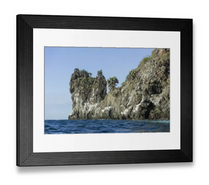 Framed Print : Lava cliff, overgrown with Galapagos Prickly Pear -Opuntia echios-, San Salvador Island, Galapagos Islands, Ecuador Framed Print : Lava cliff, overgrown with Galapagos Prickly Pear -Opuntia echios-, San Salvador Island, Galapagos Islands, Ecuador