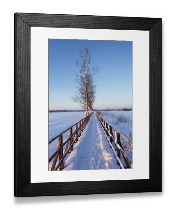 Framed Print : Boardwalk, winter landscape, Federsee Lake Nature Reserve, near Bad Buchau, Upper Swabia, Baden-Wurttemberg, Germany Framed Print : Boardwalk, winter landscape, Federsee Lake Nature Reserve, near Bad Buchau, Upper Swabia, Baden-Wurttemberg, Germany