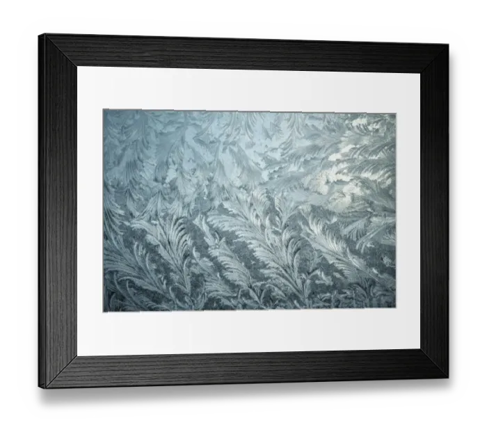 Framed Print : Texture, frost flowers Framed Print : Texture, frost flowers