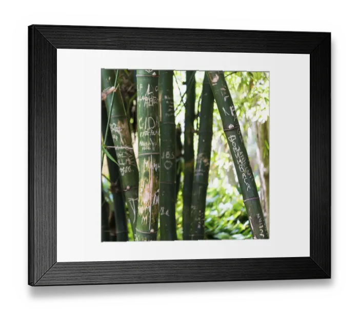 Framed Print : Bamboo incised with names Framed Print : Bamboo incised with names