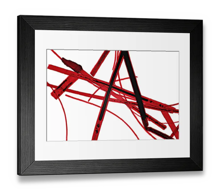 Framed Print : Wool of a sheep, thin section, microtome, permanent preparation, photomicrography Framed Print : Wool of a sheep, thin section, microtome, permanent preparation, photomicrography