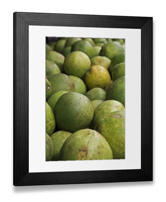Framed Print : Ripe pomelos -Citrus maxima-, Chiang Mai, Northern Thailand, Thailand Framed Print : Ripe pomelos -Citrus maxima-, Chiang Mai, Northern Thailand, Thailand