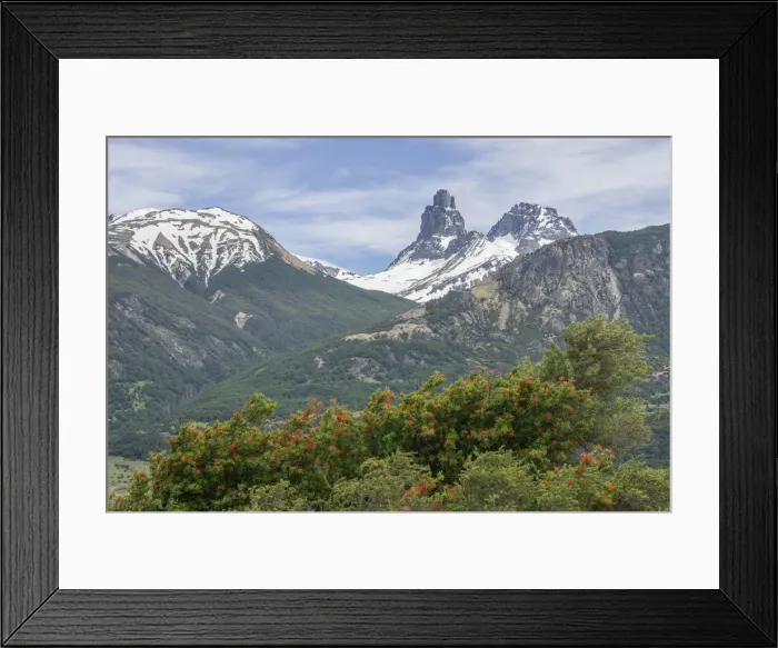 Framed Print : Snowy mountains and Chilean fire bush, also Notro or ciruelillo -Embothrium coccineum-, Villa Cerro Castillo, Aysen, Chile