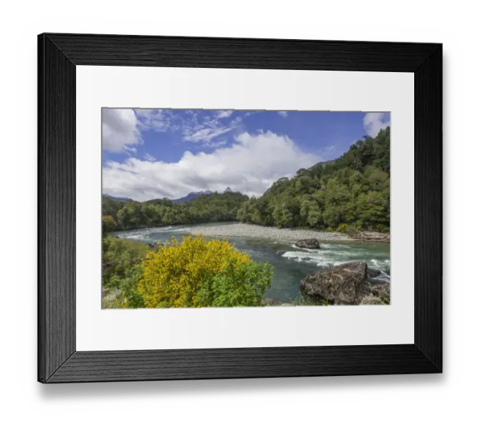 Framed Print : River and flowering gorse, Carretera Austral, Cisnes, Aysen Province, Chile Framed Print : River and flowering gorse, Carretera Austral, Cisnes, Aysen Province, Chile