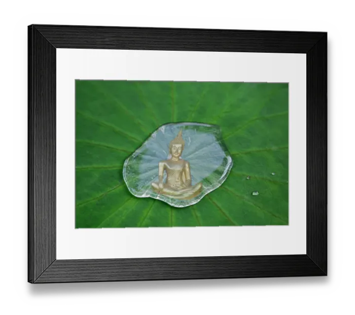 Framed Print : Buddha statue reflected in a drop of water on a lotus leaf Framed Print : Buddha statue reflected in a drop of water on a lotus leaf