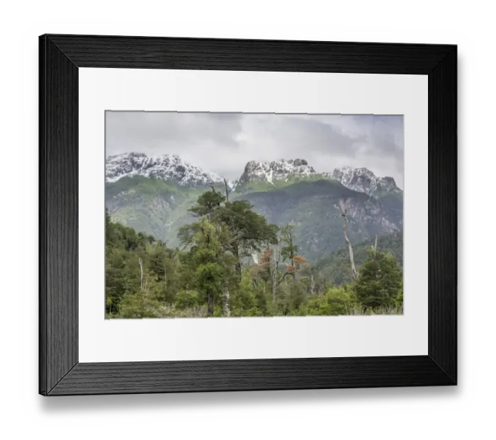 Framed Print : Snow-covered mountains and a cold rain forest, Carretera Austral, Chaiten, Los Lagos Region, Chile