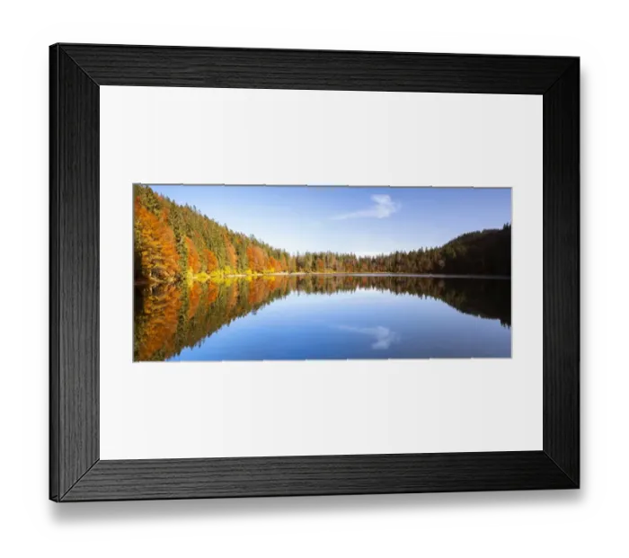 Framed Print : Autumn at Feldsee Lake with reflections near Mt Feldberg, Black Forest, Germany, Europe Framed Print : Autumn at Feldsee Lake with reflections near Mt Feldberg, Black Forest, Germany, Europe