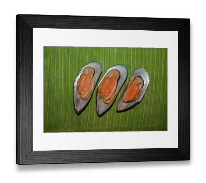 Framed Print : Cooked New Zealand green-lipped mussels -Perna canalicula- from New Zealand lying on a banana leaf Framed Print : Cooked New Zealand green-lipped mussels -Perna canalicula- from New Zealand lying on a banana leaf