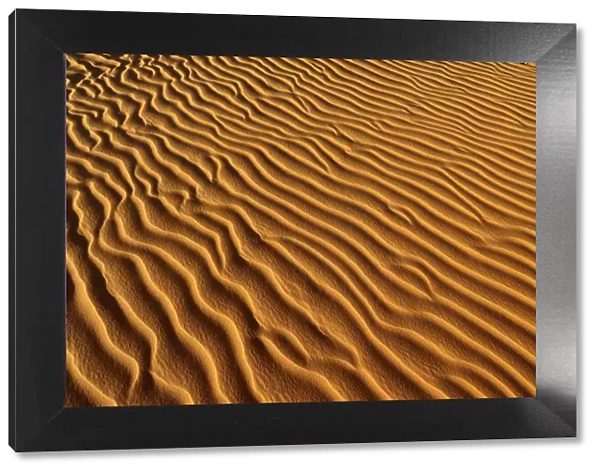 Sand ripples, sand dunes of Erg Mehejibad, Erg Mehejibad, Immidir or Mouydir, Sahara, Tamanrasset Province, Algeria