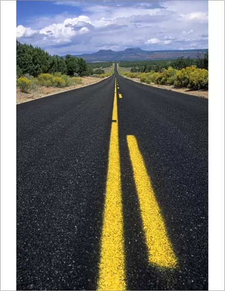 Road with a yellow line markings, Arizona, USA