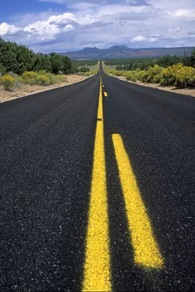 Road with a yellow line markings, Arizona, USA