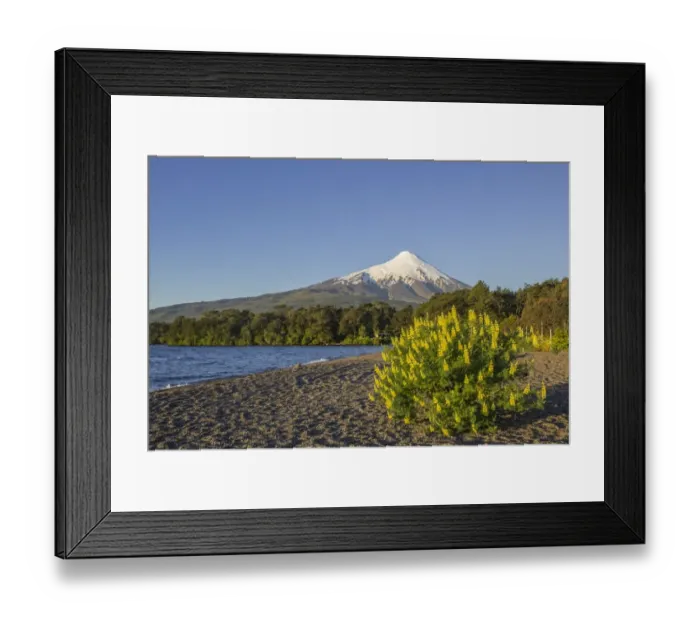 Framed Print : Osorno volcano and the shore of the bay of Lake Llanquihue, Puerto Varas, Los Lagos Region, Chile Framed Print : Osorno volcano and the shore of the bay of Lake Llanquihue, Puerto Varas, Los Lagos Region, Chile