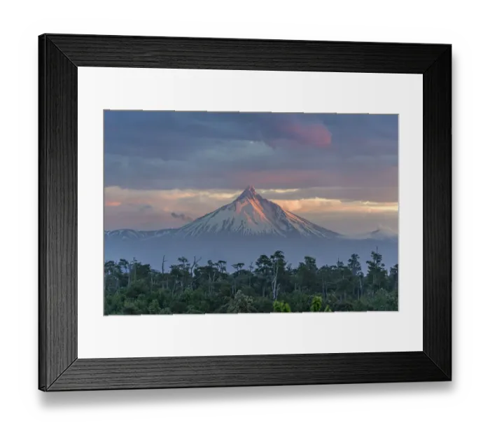 Framed Print : Puyehue volcano in the evening light, Puyehue, Los Lagos Region, Chile Framed Print : Puyehue volcano in the evening light, Puyehue, Los Lagos Region, Chile