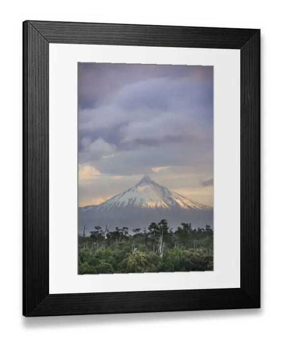 Framed Print : Puyehue volcano in the evening light, Puyehue, Los Lagos Region, Chile Framed Print : Puyehue volcano in the evening light, Puyehue, Los Lagos Region, Chile