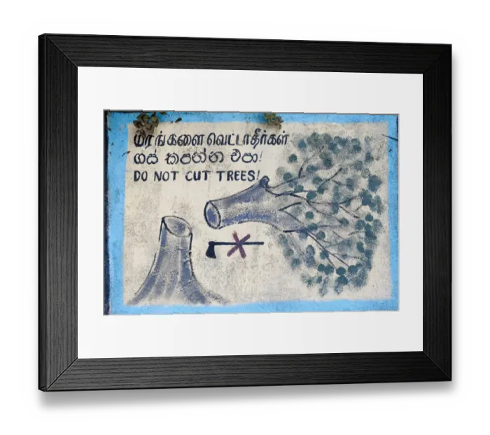 Framed Print : Environmental protection, painted sign, Do not cut trees depicting a felled tree and a crossed-out axe, Nuwara Eliya, Sri Lanka Framed Print : Environmental protection, painted sign, Do not cut trees depicting a felled tree and a crossed-out axe, Nuwara Eliya, Sri Lanka