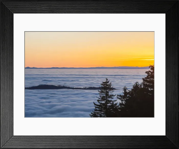 Framed Print : Sea of ??clouds, forest, Seebach, Nordschwarzwald, Schwarzwald, Baden-Wurttemberg, Germany Framed Print : Sea of ??clouds, forest, Seebach, Nordschwarzwald, Schwarzwald, Baden-Wurttemberg, Germany