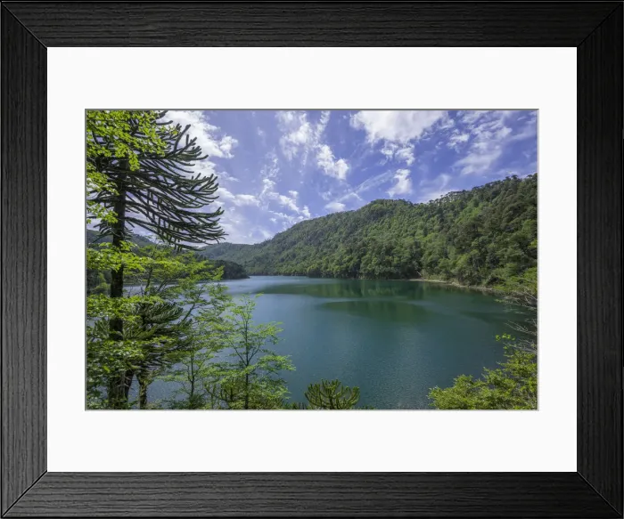 Framed Print : Lago Chico, Huerquehue National Park, Pucon, Araucania Region, Chile Framed Print : Lago Chico, Huerquehue National Park, Pucon, Araucania Region, Chile
