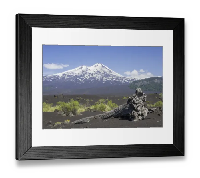 Framed Print : Dead tree and the volcano Llaima at the back, Conguillio National Park, Melipeuco, Araucania Region, Chile Framed Print : Dead tree and the volcano Llaima at the back, Conguillio National Park, Melipeuco, Araucania Region, Chile
