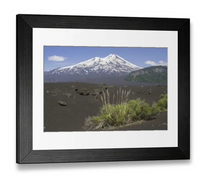 Framed Print : Grass on lava ash and Llaima volcano, Conguillio National Park, Melipeuco, Araucania Region, Chile Framed Print : Grass on lava ash and Llaima volcano, Conguillio National Park, Melipeuco, Araucania Region, Chile