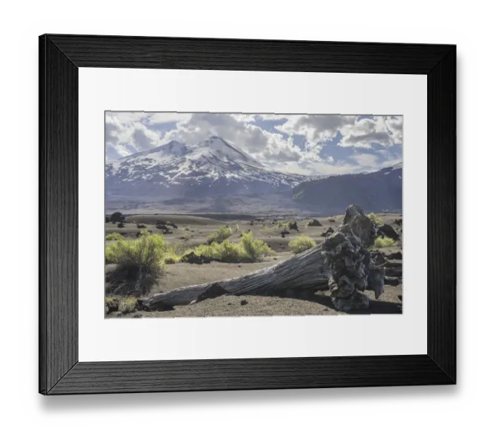 Framed Print : Dead tree and Llaima volcano, Conguillio National Park, Melipeuco, Region de la Araucania, Chile Framed Print : Dead tree and Llaima volcano, Conguillio National Park, Melipeuco, Region de la Araucania, Chile