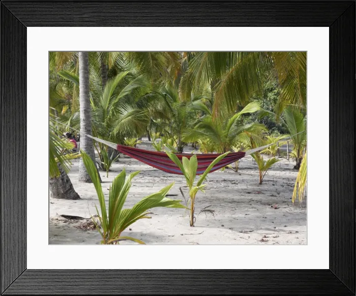 Framed Print : Hammock under the palm trees, Playa Carryllo, Nicoya Peninsula, Costa Rica, Central America Framed Print : Hammock under the palm trees, Playa Carryllo, Nicoya Peninsula, Costa Rica, Central America