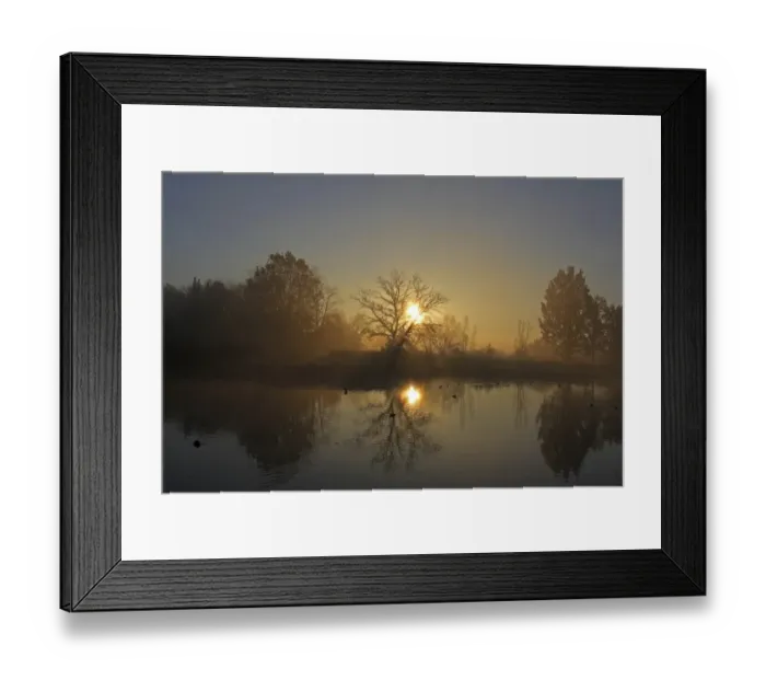 Framed Print : Early morning with sunrise in a pond area, district of Mittelberg, Biberach, Upper Swabia, Baden-Wuerttemberg, Germany, Europe Framed Print : Early morning with sunrise in a pond area, district of Mittelberg, Biberach, Upper Swabia, Baden-Wuerttemberg, Germany, Europe