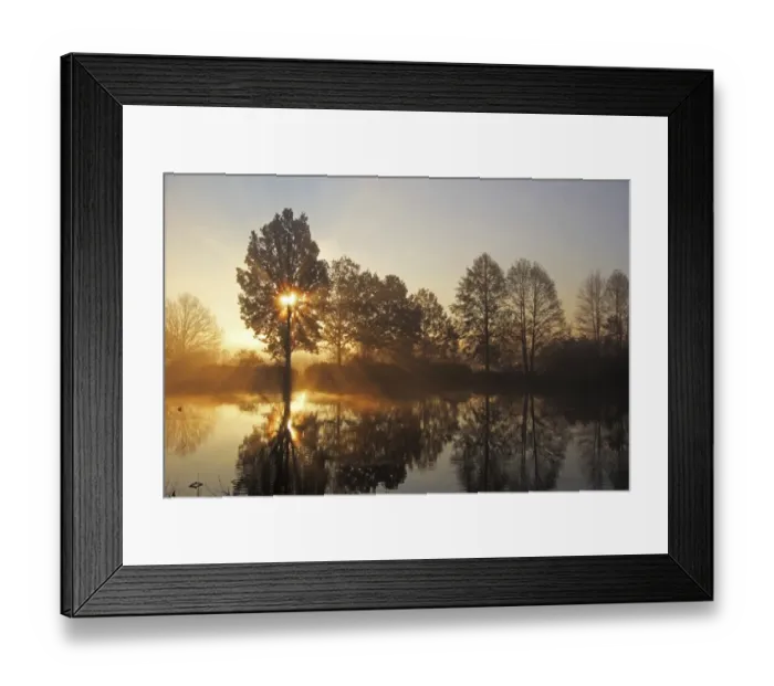 Framed Print : Trees on a pond at sunrise, early morning in November, Mittelberg, Biberach a. d. Riss, Upper Swabia, Baden-Wuerttemberg, Germany, Europe Framed Print : Trees on a pond at sunrise, early morning in November, Mittelberg, Biberach a. d. Riss, Upper Swabia, Baden-Wuerttemberg, Germany, Europe