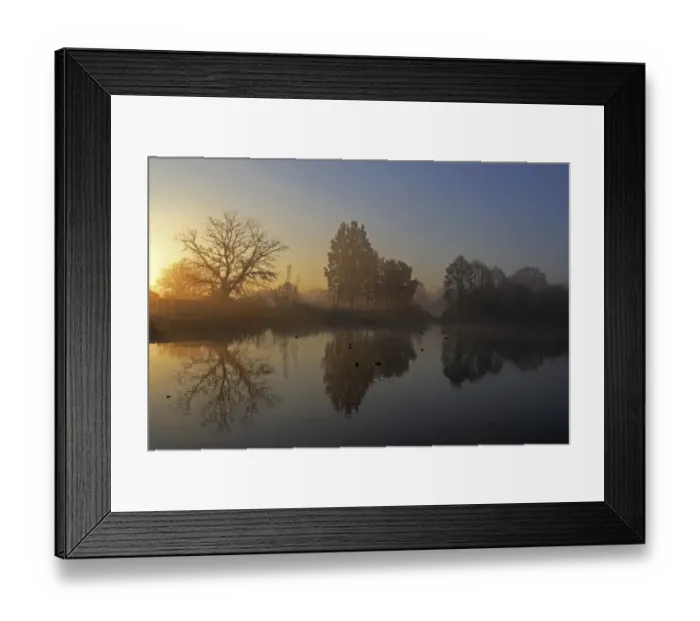 Framed Print : Trees on a pond at sunrise, early morning in November, Mittelberg, Biberach a. d. Riss, Upper Swabia, Baden-Wuerttemberg, Germany, Europe Framed Print : Trees on a pond at sunrise, early morning in November, Mittelberg, Biberach a. d. Riss, Upper Swabia, Baden-Wuerttemberg, Germany, Europe