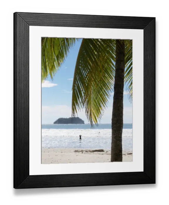 Framed Print : Palm tree on the beach, Playa Samara, Nicoya Peninsula, Costa Rica, Central America Framed Print : Palm tree on the beach, Playa Samara, Nicoya Peninsula, Costa Rica, Central America