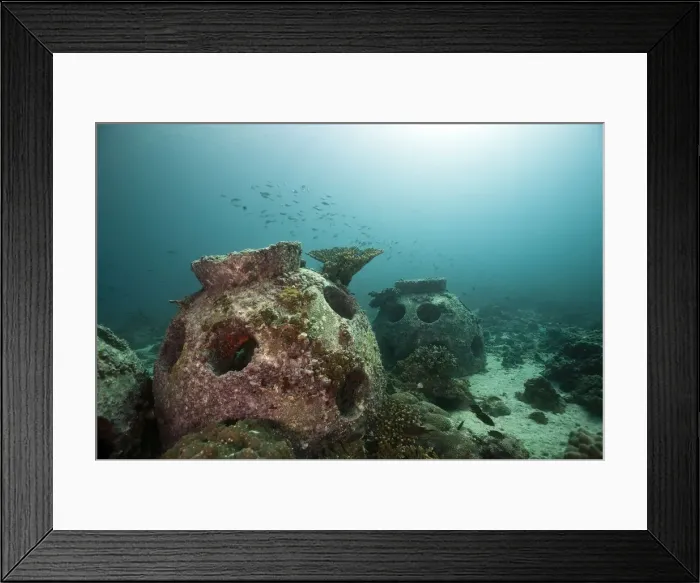 Framed Print : Coral breeding cone, near Fahal, Oman Framed Print : Coral breeding cone, near Fahal, Oman
