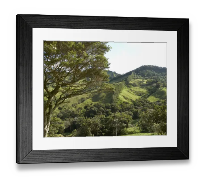Framed Print : Green mountain forest, Ricon de la Vieja National Park, Province of Guanacaste, Costa Rica, Central America Framed Print : Green mountain forest, Ricon de la Vieja National Park, Province of Guanacaste, Costa Rica, Central America