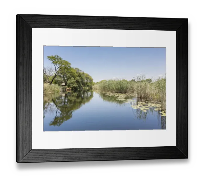 Framed Print : Swampland on the way to Mamili National Park, Caprivi Strip, Namibia, Africa Framed Print : Swampland on the way to Mamili National Park, Caprivi Strip, Namibia, Africa