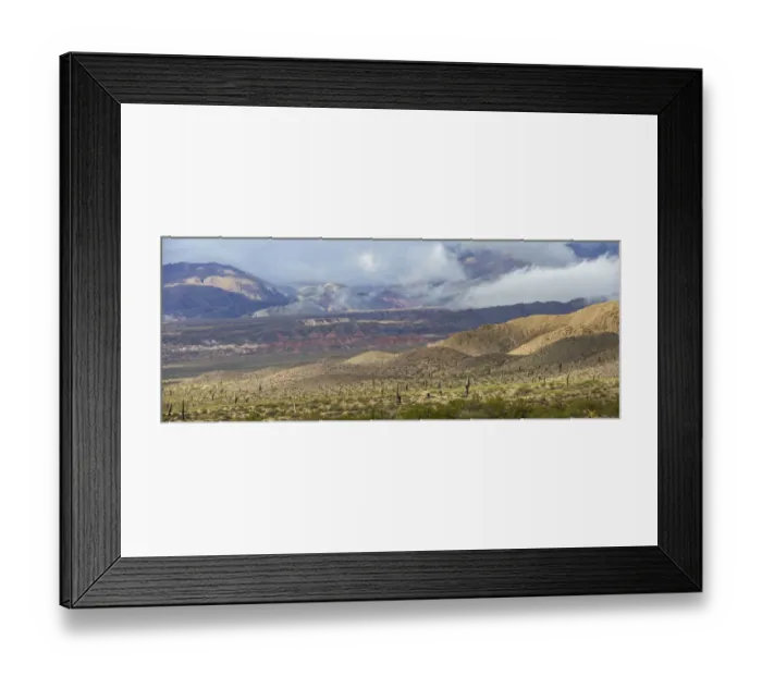 Framed Print : Altiplano covered with Cardon cacti -Echinopsis atacamensis-, near Cachi, Salta Province, Argentina