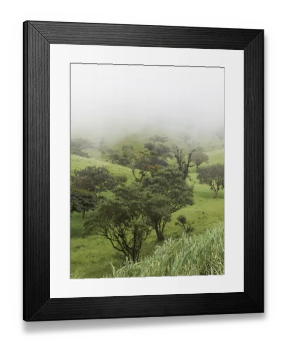 Framed Print : Fog clouded green mountain forest on the edge between the Pacific and Atlantic meteorological divides, Cordillera de Tilaran Tilaran, Guanacaste Province, Costa Rica, Central America Framed Print : Fog clouded green mountain forest on the edge between the Pacific and Atlantic meteorological divides, Cordillera de Tilaran Tilaran, Guanacaste Province, Costa Rica, Central America