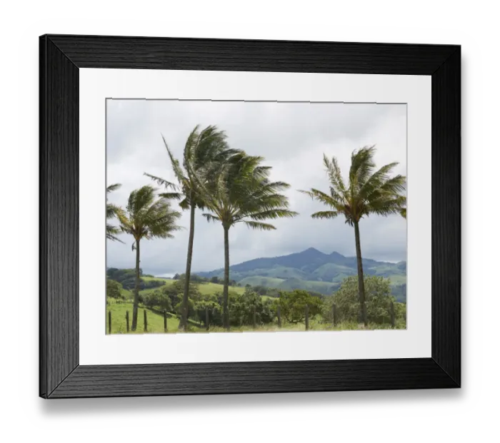 Framed Print : Green mountain forest, Cordillera de Tilaran, Tilaran, Guanacaste Province, Costa Rica, Central America Framed Print : Green mountain forest, Cordillera de Tilaran, Tilaran, Guanacaste Province, Costa Rica, Central America